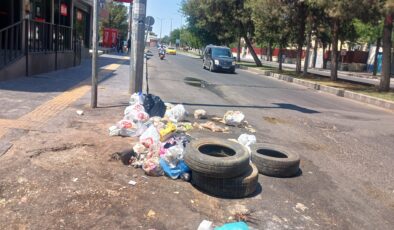 Çöp konteyneri olmayan cadde çöpten geçilmiyor