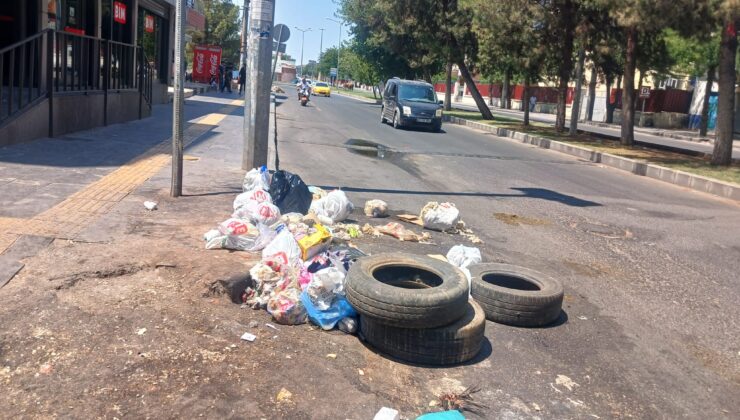 Çöp konteyneri olmayan cadde çöpten geçilmiyor