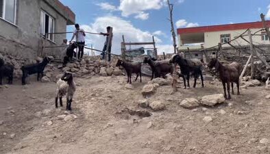 Hataylı besicilerden, Diyarbakır-Mardin yangın mağdurlarına destek