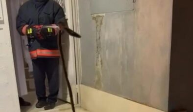 Yılan binaya girince paniğe neden oldu