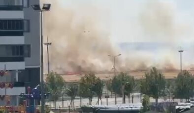 Diyarbakır’da anız yakma sorunu devam ediyor