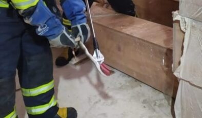 Depoya giren yılanı itfaiye ekipleri yakaladı