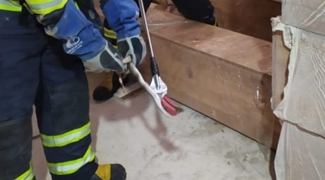 Depoya giren yılanı itfaiye ekipleri yakaladı
