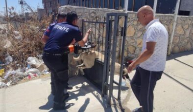 Demir kapıya sıkışan köpeği itfaiye ekibi kurtardı