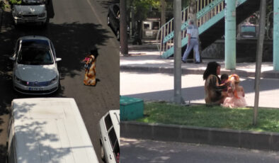 Kendi ve çocuklarının canlarını hiçe sayıyorlar