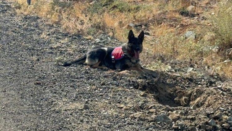 Hani ilçesinde yol kenarına tuzaklanmış 2 adet EYP bulundu