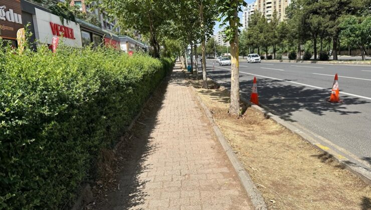 Engelli bireyler Fırat Bulvarı’nda engelli yolu istiyor!