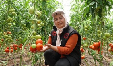 Gaziantep’te seralara kadın eli değdi