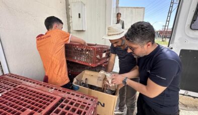 Yüksekova’da 5 bin kanatlı hayvan dağıtıldı