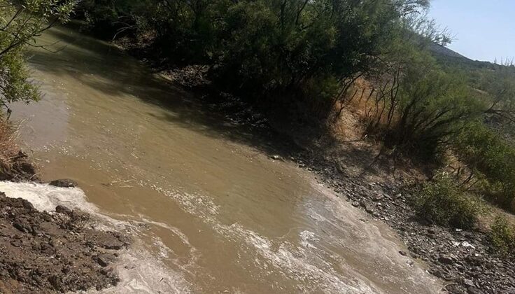 Evcil ve yabani hayvanlar için gölet