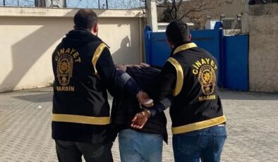 Mardin’de 2 kişinin öldürüldüğü kavgada 9 şahıs tutuklandı