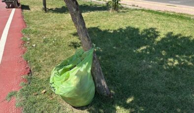 Diyarbakır’da Zerya Kent Orman Parkı’nda çöp kutusu eksikliği