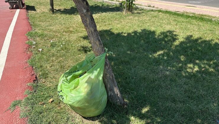 Diyarbakır’da Zerya Kent Orman Parkı’nda çöp kutusu eksikliği