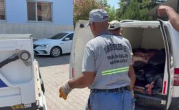 1,5 ton tek tırnaklı hayvan eti ele geçirildi