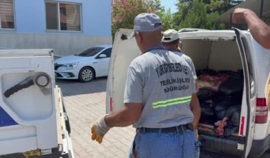 1,5 ton tek tırnaklı hayvan eti ele geçirildi