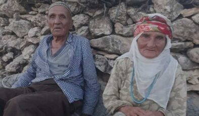 Diyarbakır’da hayvancılık yapan ailenin 5 ineği çalındı