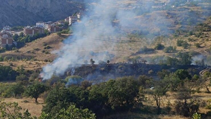 Çemişgezek’teki yangın yerleşim yerlerine sıçramadan söndürüldü