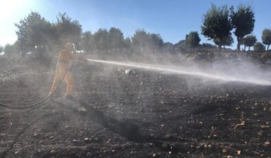 Adıyaman’da 40 hektarlık yangın kontrol altında