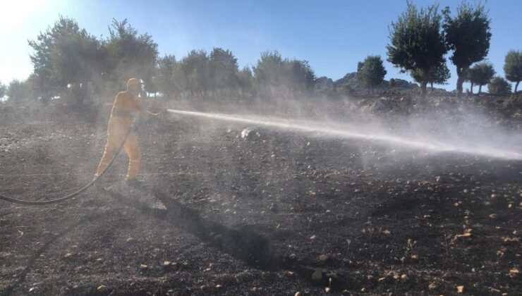 Adıyaman’da 40 hektarlık yangın kontrol altında