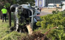 Ağaca çarpan otomobildeki 1 kişi öldü, 2 kişi yaralandı