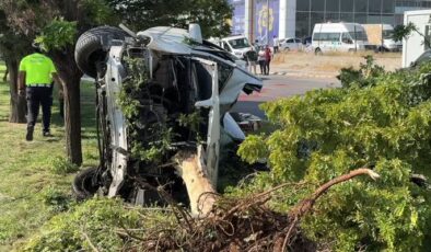 Ağaca çarpan otomobildeki 1 kişi öldü, 2 kişi yaralandı