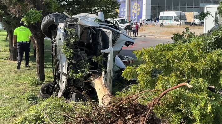 Ağaca çarpan otomobildeki 1 kişi öldü, 2 kişi yaralandı