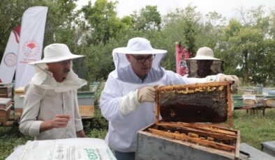Ağrı’da geven balı hasadı
