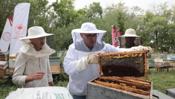 Ağrı’da geven balı hasadı