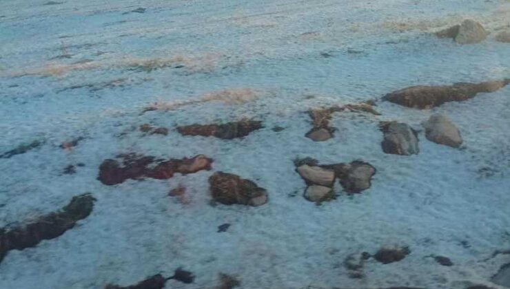 Ardahan beyaza büründü, dolu şaşkınlık yarattı