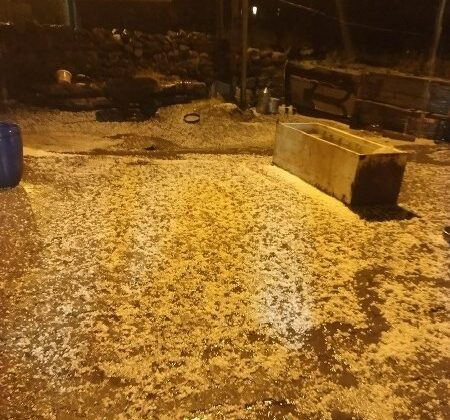 Ardahan’da sağanak yağış sele neden oldu