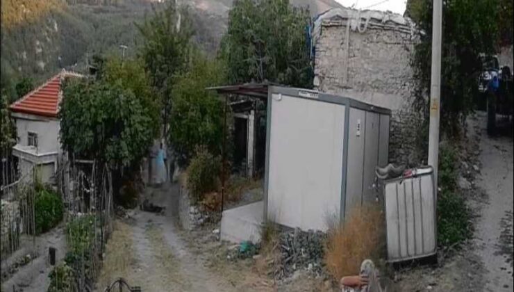 Bahçeye giren koyunlar cinayete neden oldu, görüntüler dehşete düşürdü