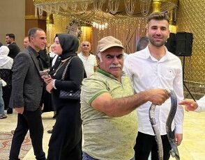 Batman’da düğünde yılan şovu sürprizi