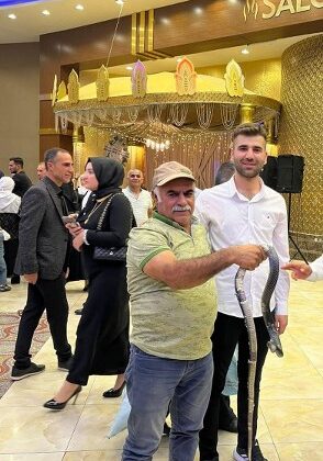 Batman’da düğünde yılan şovu sürprizi