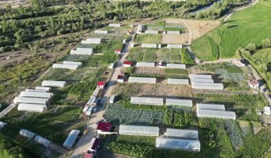 Bayburt Eko-Köy’den yüksek sebze verimi