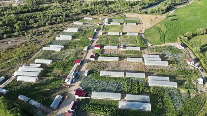 Bayburt Eko-Köy’den yüksek sebze verimi