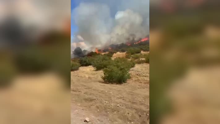 Bingöl’de mera ve ormanlık alanda çıkan söndürüldü