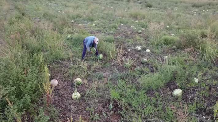 Şehirdeki yöneticilik kariyerinden vazgeçip baba ocağında çiftçi oldu