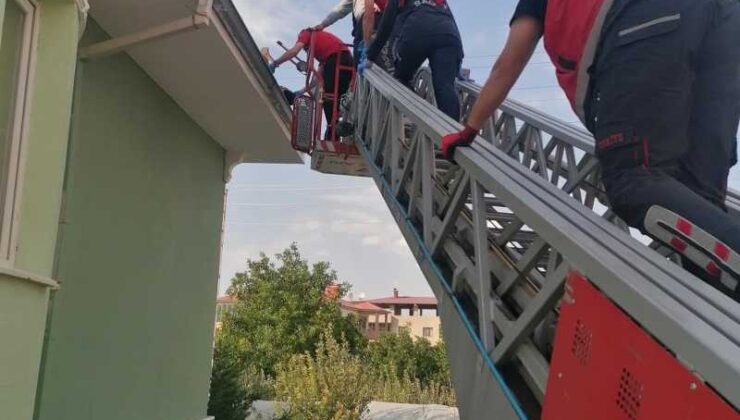 Çatıda boya yaparken elektrik akımına kapıldı