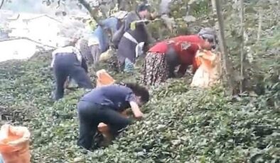 Çermikli fındık işçileri Karadeniz’e yola çıktı