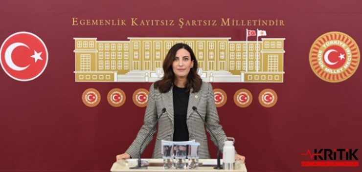 DEVA Partili Milletvekili Rızvanoğlu: Kulp  Hesandin Yaylası acilen korunmalı