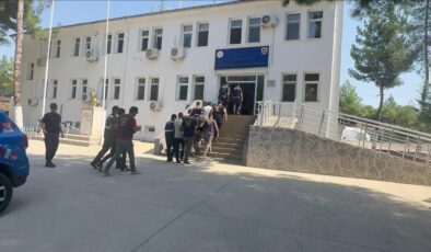 Diyarbakır’da 8 inek çalan 4 şüpheli yakalandı