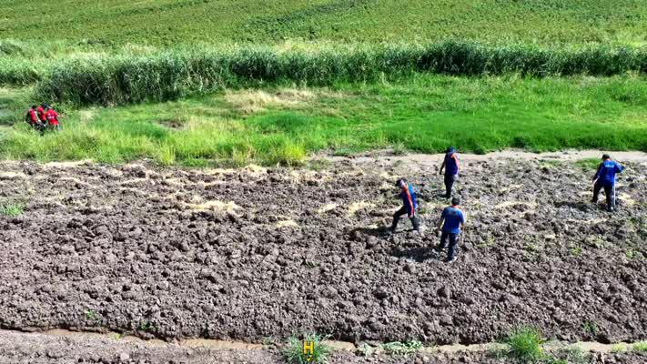 Derede bulunan terliğin Narin’e ait olmadığı ortaya çıktı