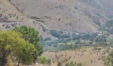 Diyarbakır’da ormanlık alanda çıkan yangın söndürüldü