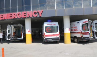 Erzincan’da yaşlı kadına köpek saldırısı