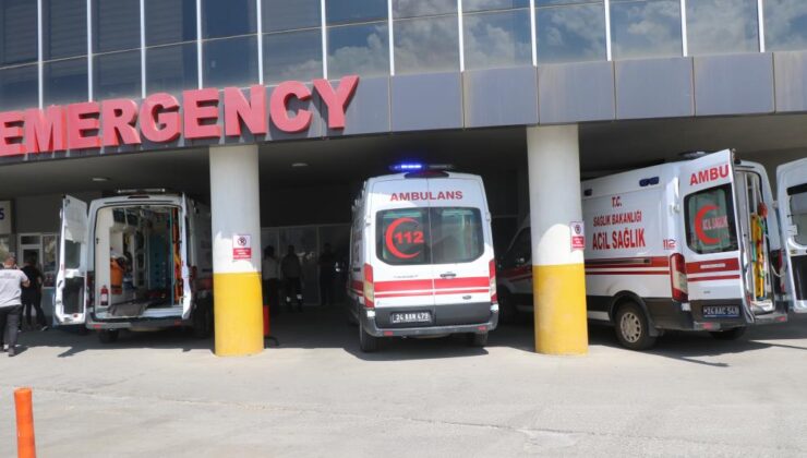 Erzincan’da yaşlı kadına köpek saldırısı