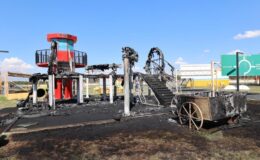 Erzurum’da park yangını failleri bulundu