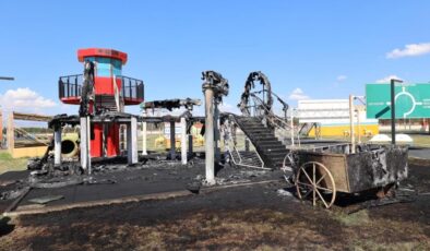 Erzurum’da park yangını failleri bulundu