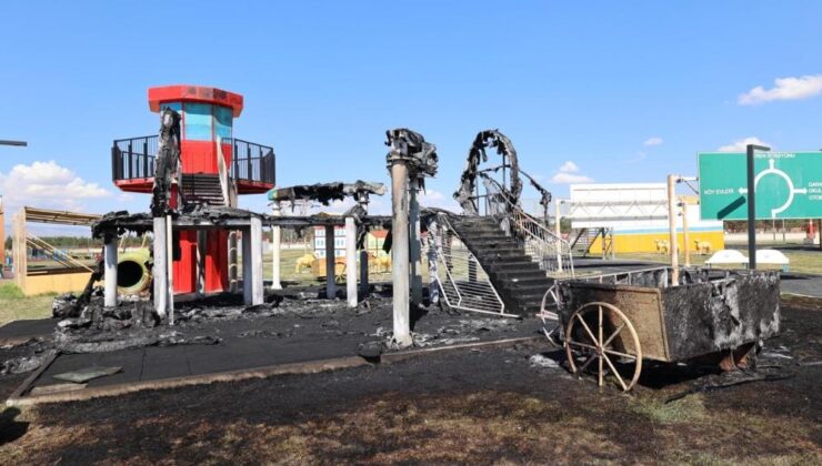 Erzurum’da park yangını failleri bulundu