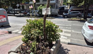 Esnaf çiçeklerini evcil hayvanlardan böyle koruyor