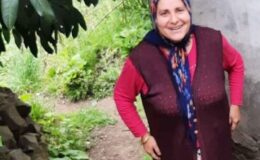 Fındık sepeti ile uçuruma yuvarlandı